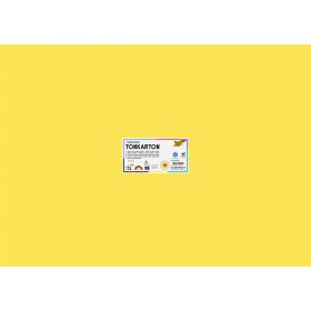 Bastelkarton glatt 220 g, Sortiment mit 100 Bogen-image
