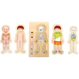 Schichtenpuzzle Anatomie Junge-image