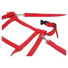 Kinder Laufleine Nylon rot-image