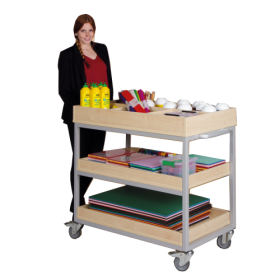 Vorbereitungswagen mit 2 Ablageböden, 6 Fächern oben, fahrbar B/H/T: 100x96x60 cm, mit Aufkantung-image