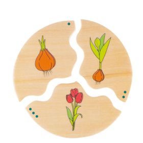NAWITO Entwicklung Lernpuzzle-image