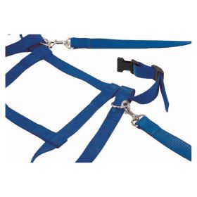 Kinder Laufleine Nylon blau-image